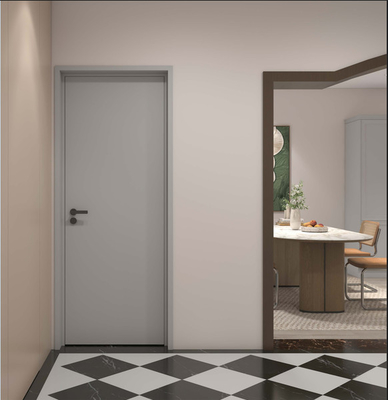 Corrosion-Resistant Fadior Stainless Steel Dual Frame Starry Grey  Interior Door Solution